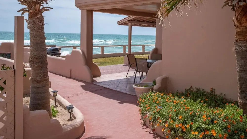 Photo showing the side of a house with a small flower bed and palm trees lining the walkway.